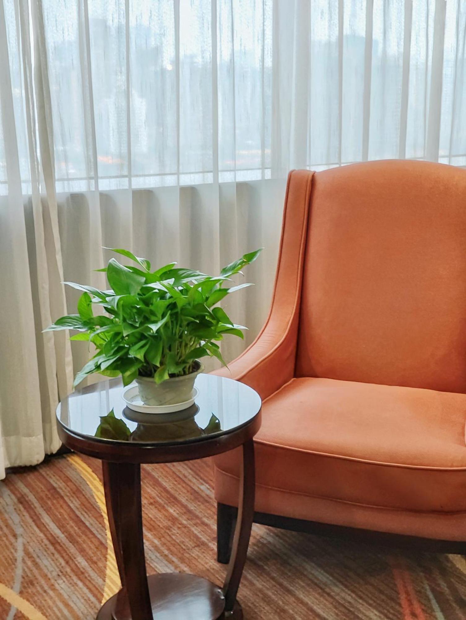 Skyline Plaza Hotel גואנגג'ואו מראה חיצוני תמונה